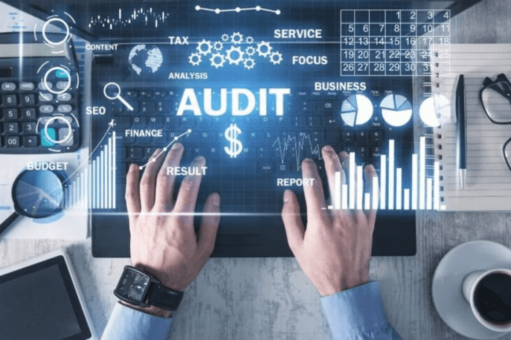 Auditor Dubai: Pros and Cons of Professional Services